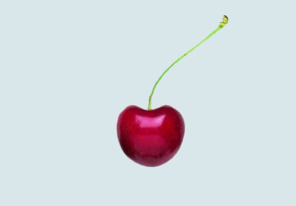 Cerise sur le gâteau : une réduction d’impôt pour chaque prestation effectuée!